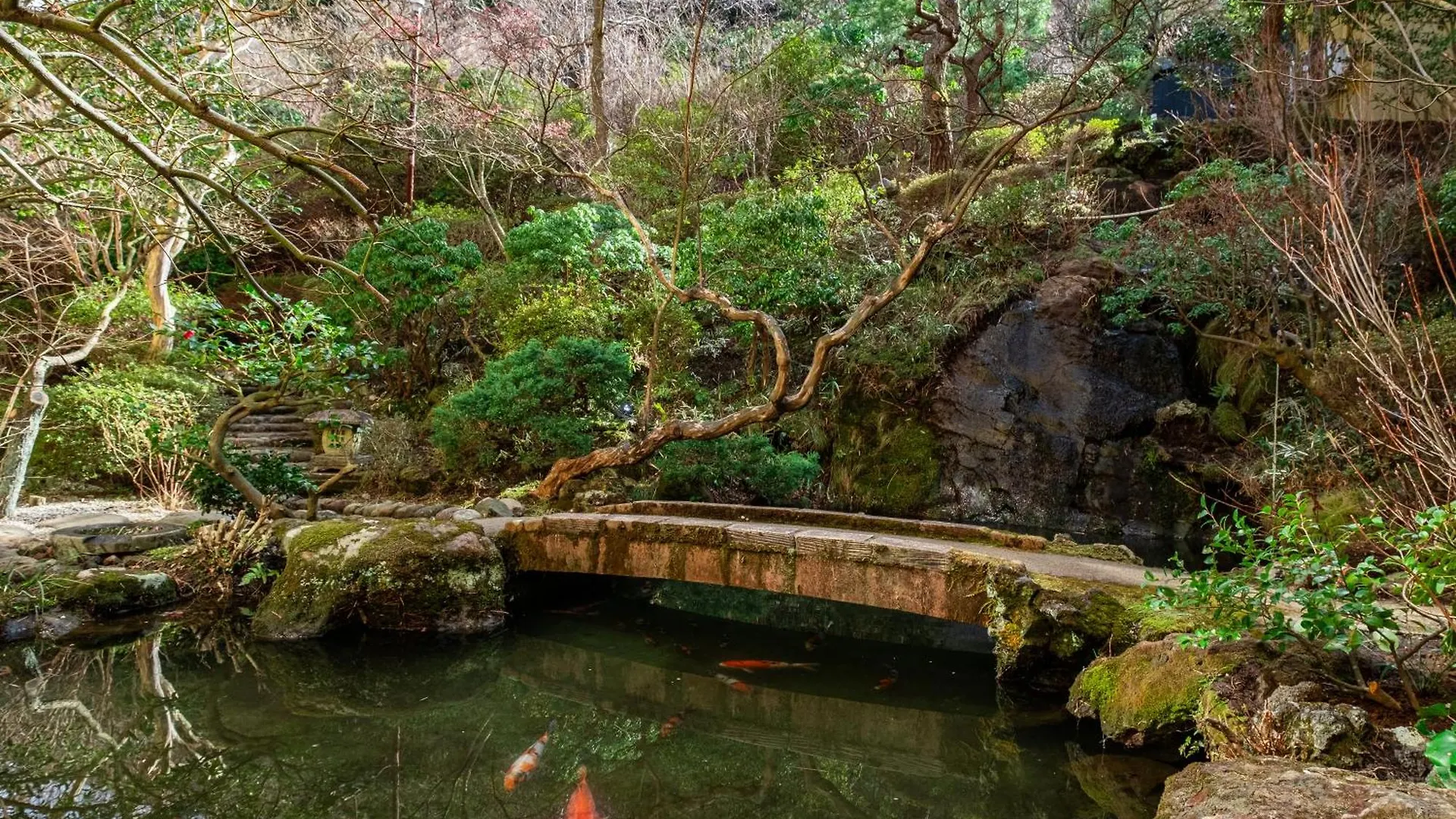 Nagominoyado Hanagokoro - Reopening In Mar 2024 Hakone